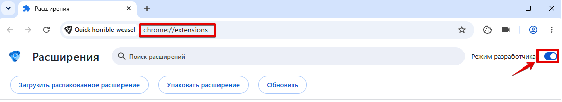 Developer mode